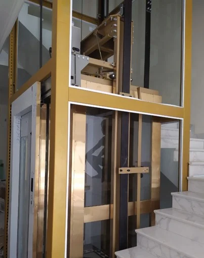 THANG MÁY TẢI KHÁCH AP110